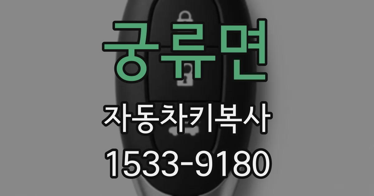 궁류면 자동차키복사