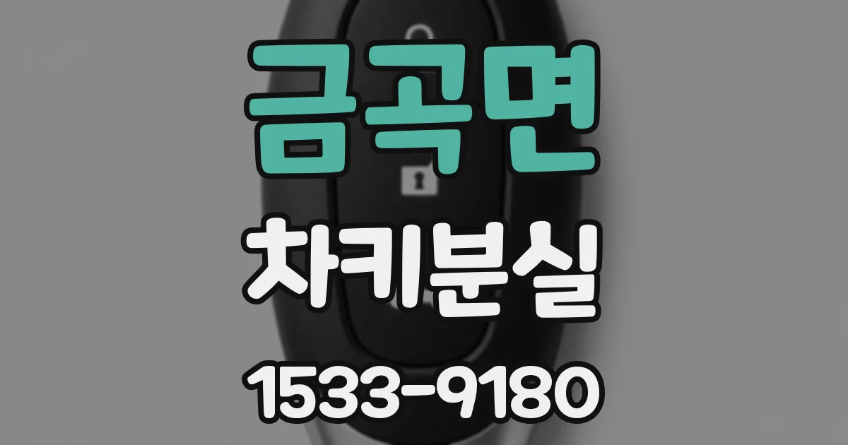 금곡면 차키분실
