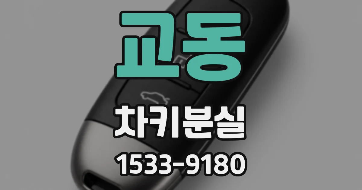 교동 차키분실