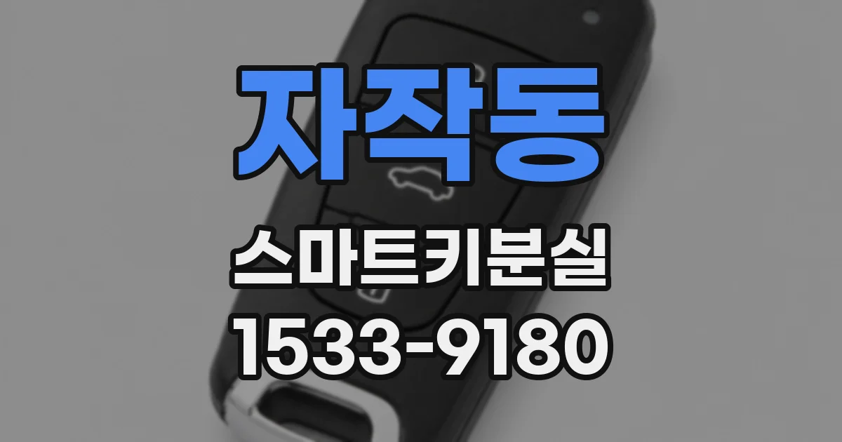자작동 스마트키분실