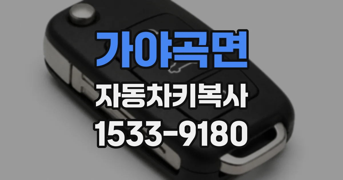 가야곡면 자동차키복사