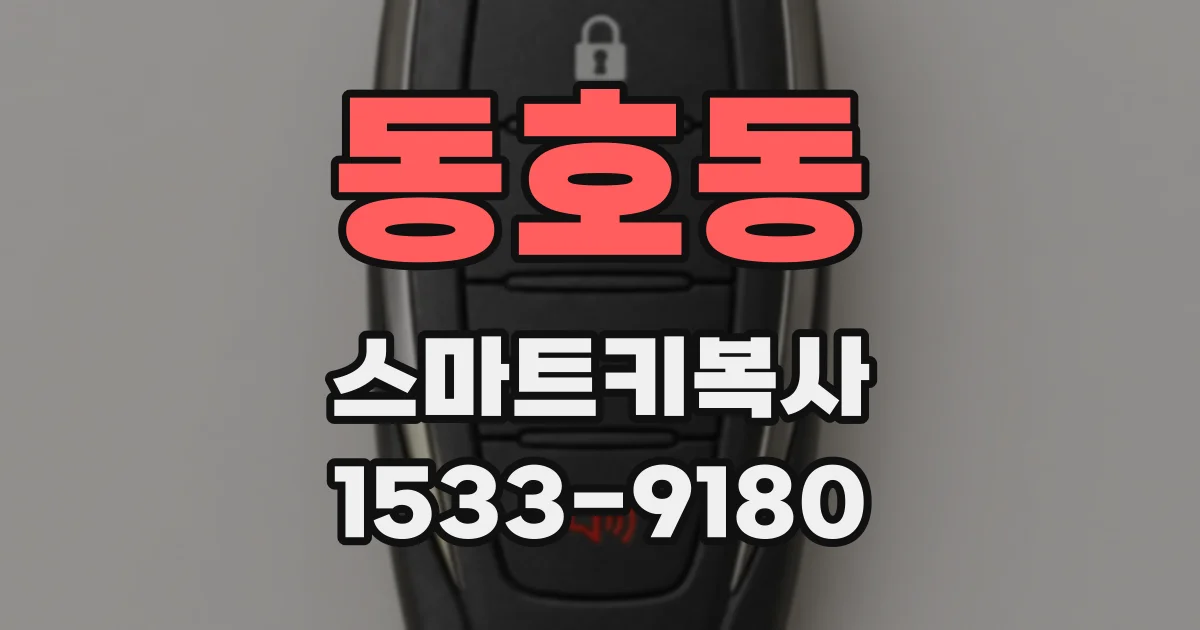 동호동 스마트키복사