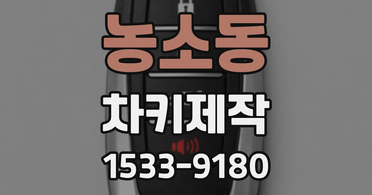 농소동 차키제작