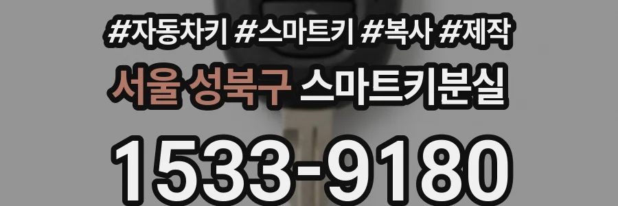 서울 성북구 스마트키분실