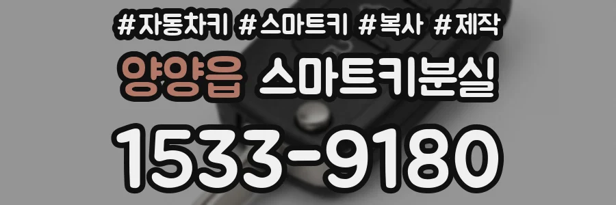 양양읍 스마트키분실