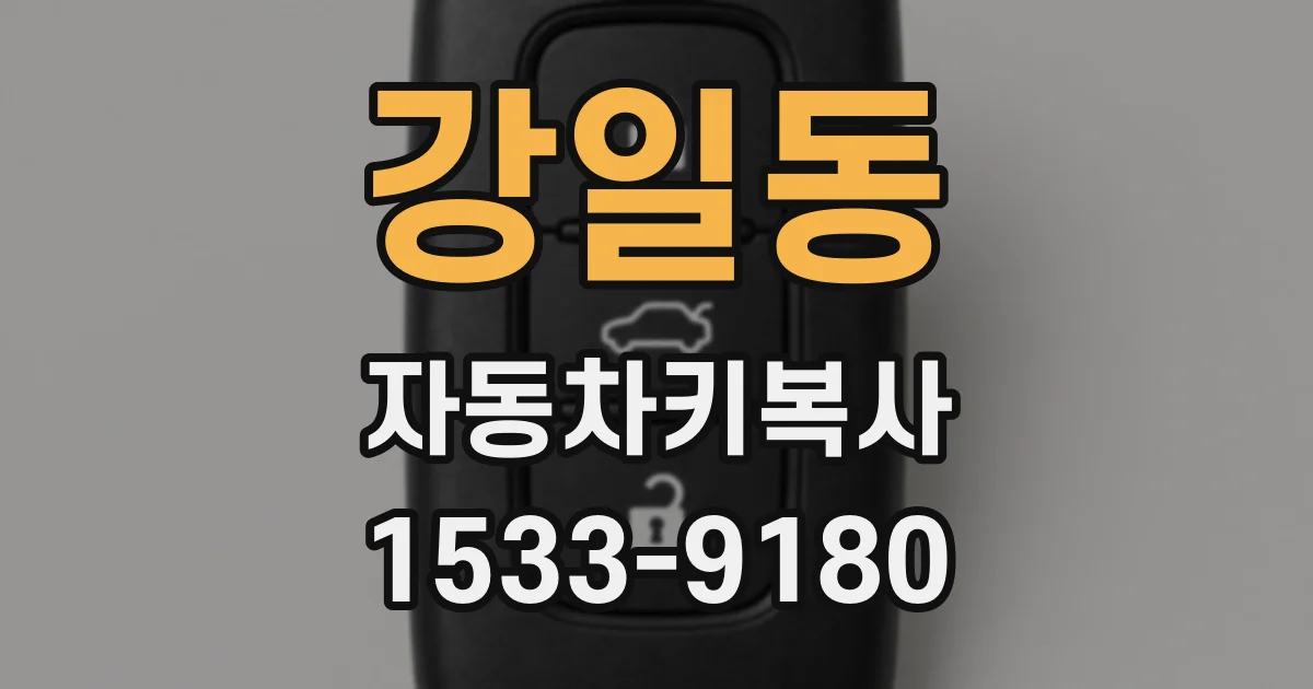 강일동 자동차키복사