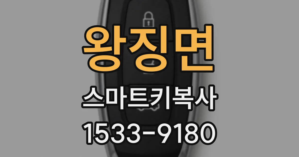 왕징면 스마트키복사