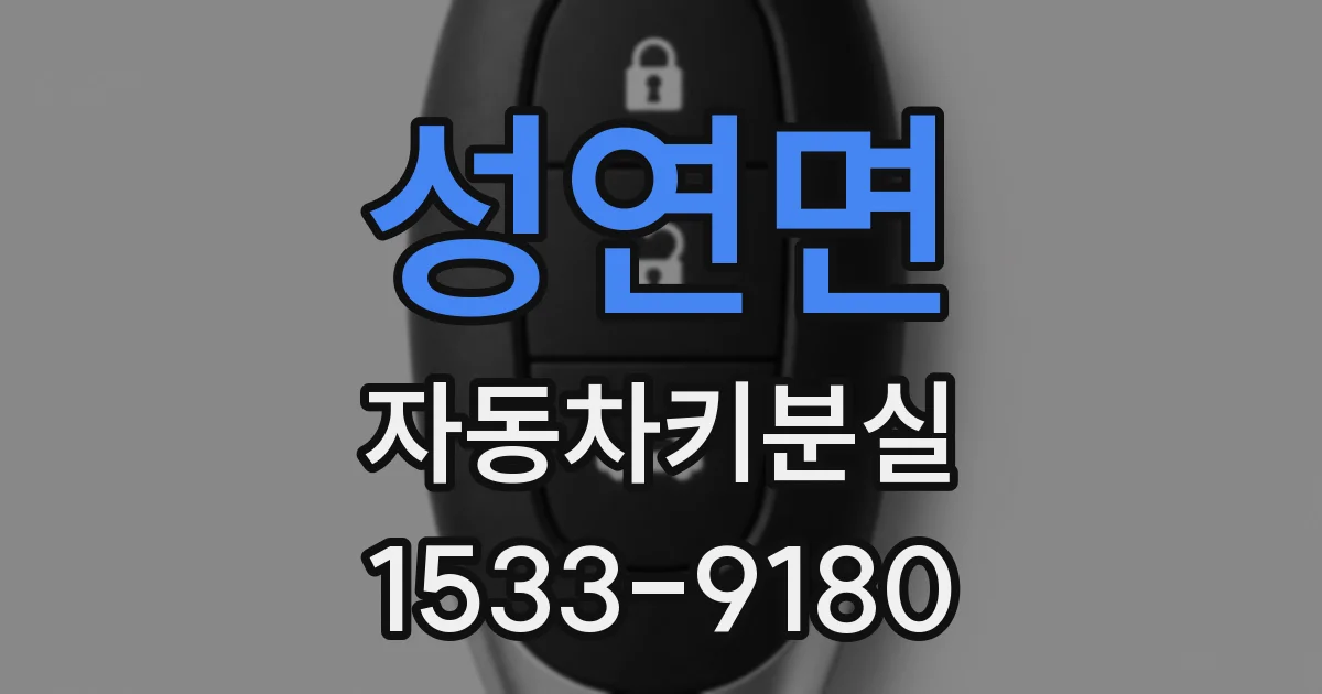 성연면 자동차키분실