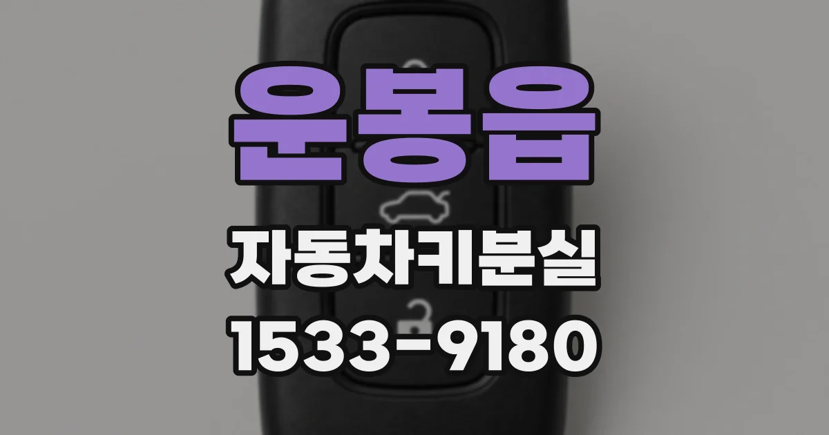 운봉읍 자동차키분실