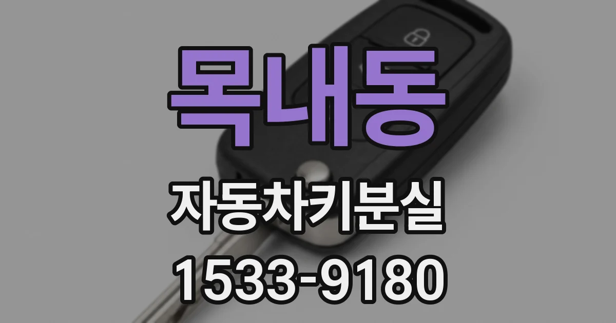목내동 자동차키분실