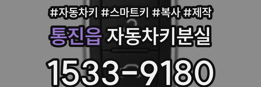통진읍 자동차키분실