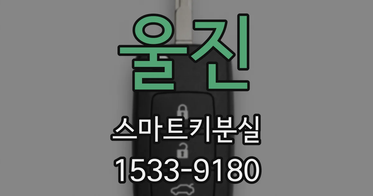 울진 스마트키분실