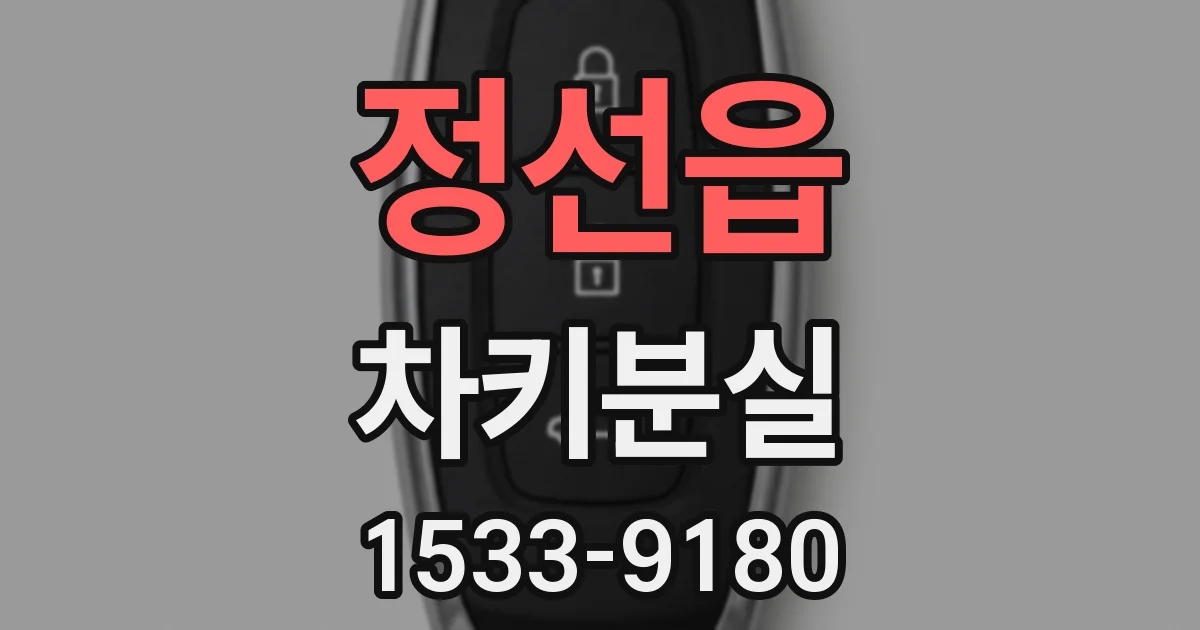 정선읍 차키분실