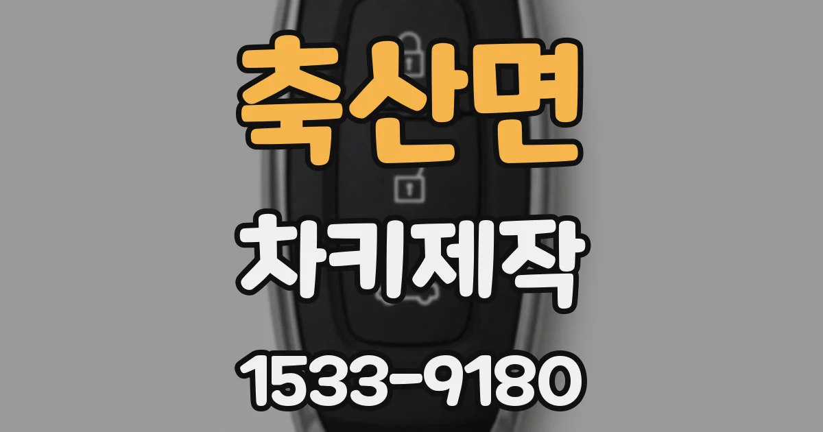 축산면 차키제작