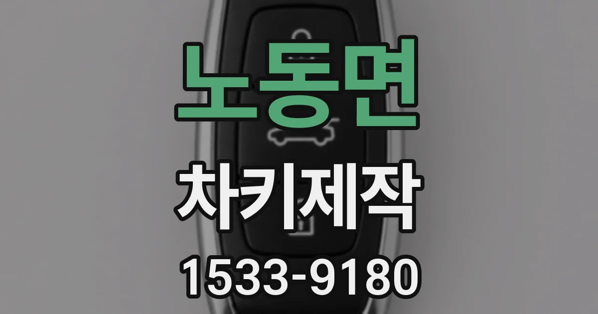 노동면 차키제작