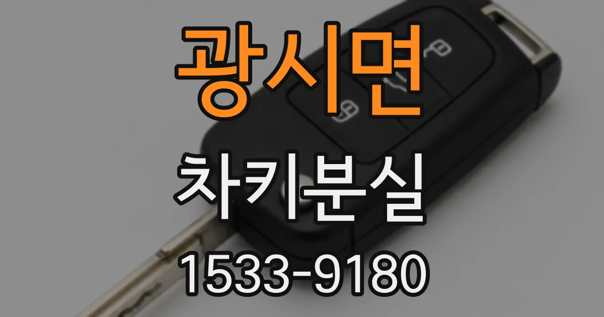 광시면 차키분실