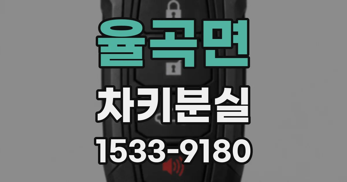 율곡면 차키분실