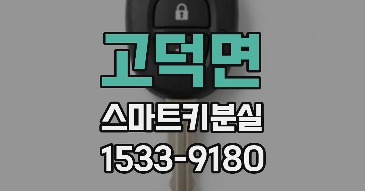고덕면 스마트키분실