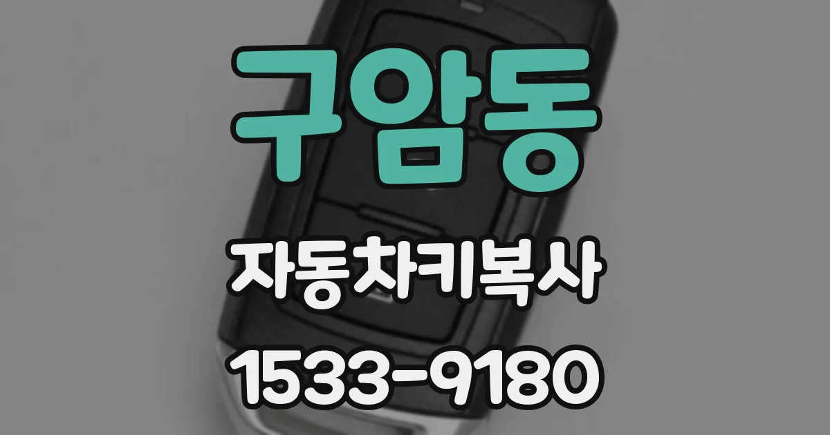 구암동 자동차키복사