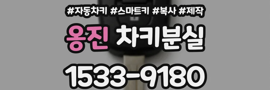 옹진 차키분실