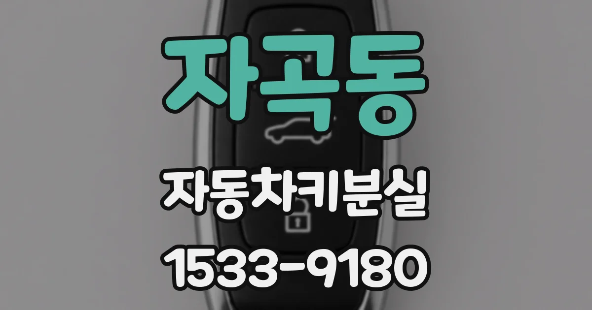 자곡동 자동차키분실