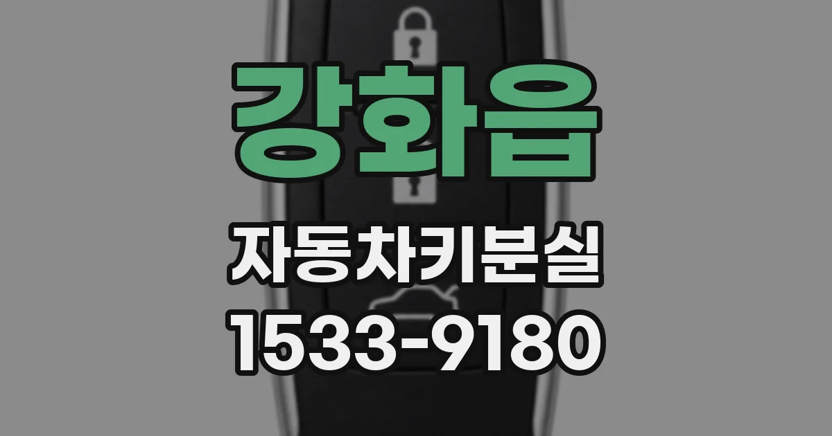 강화읍 자동차키분실