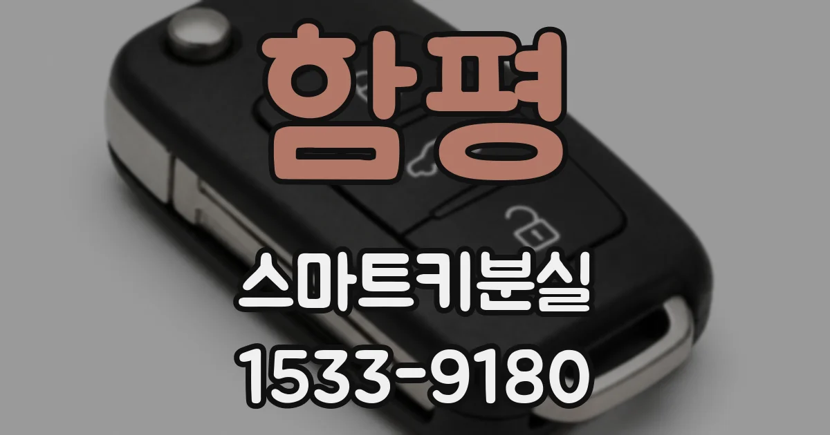 함평 스마트키분실