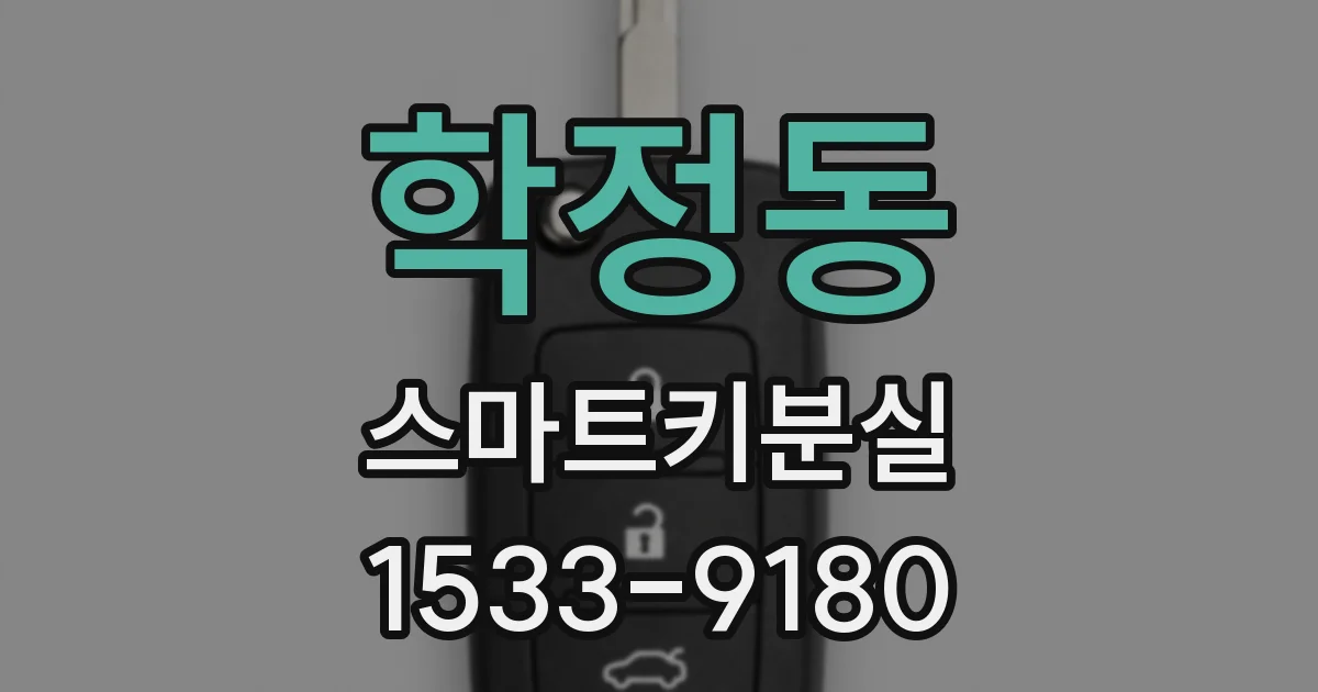 학정동 스마트키분실