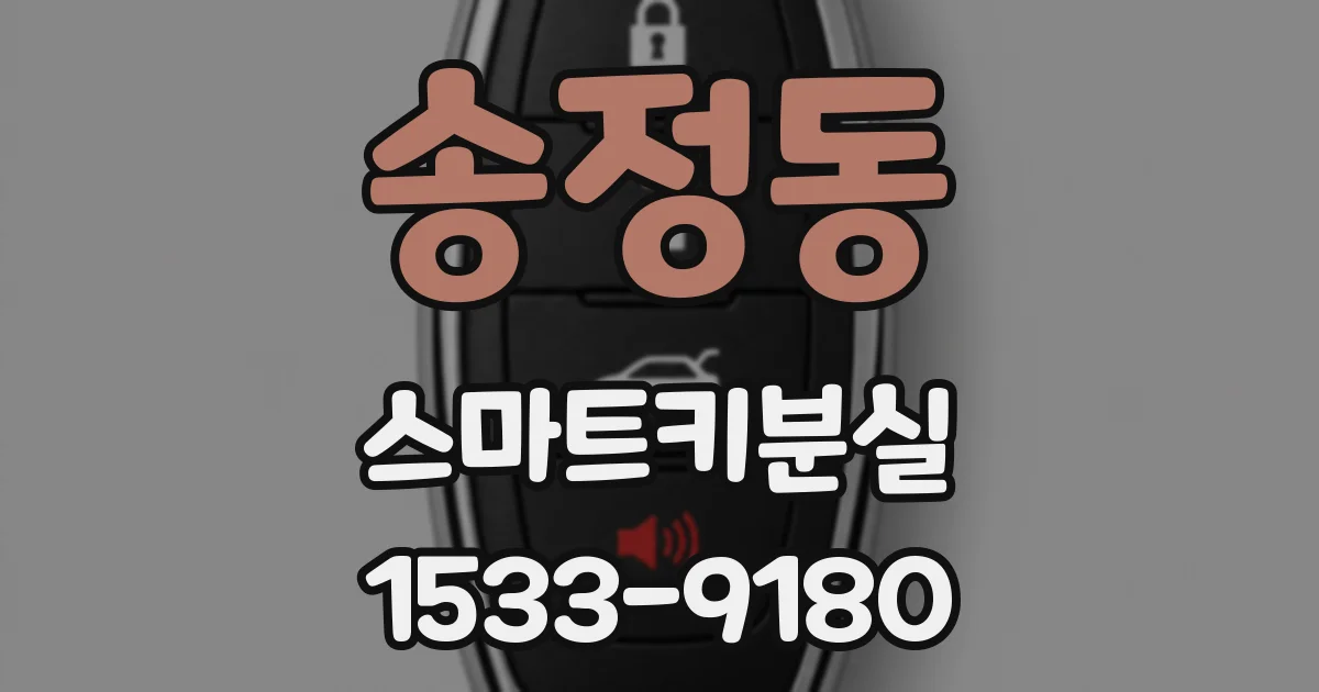 송정동 스마트키분실