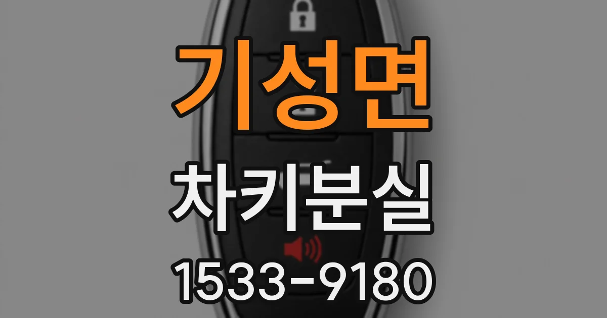 기성면 차키분실