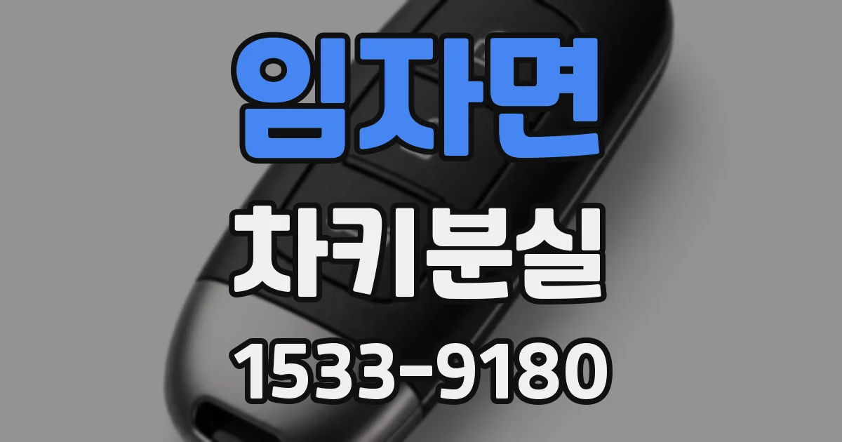 임자면 차키분실