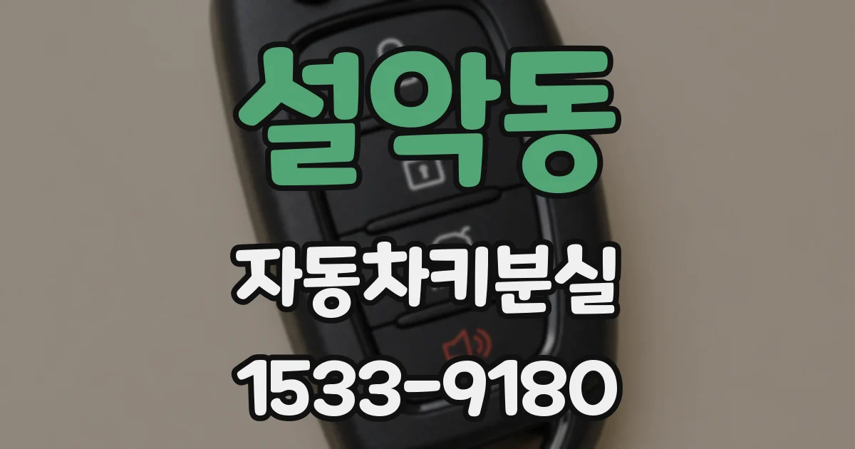 설악동 자동차키분실