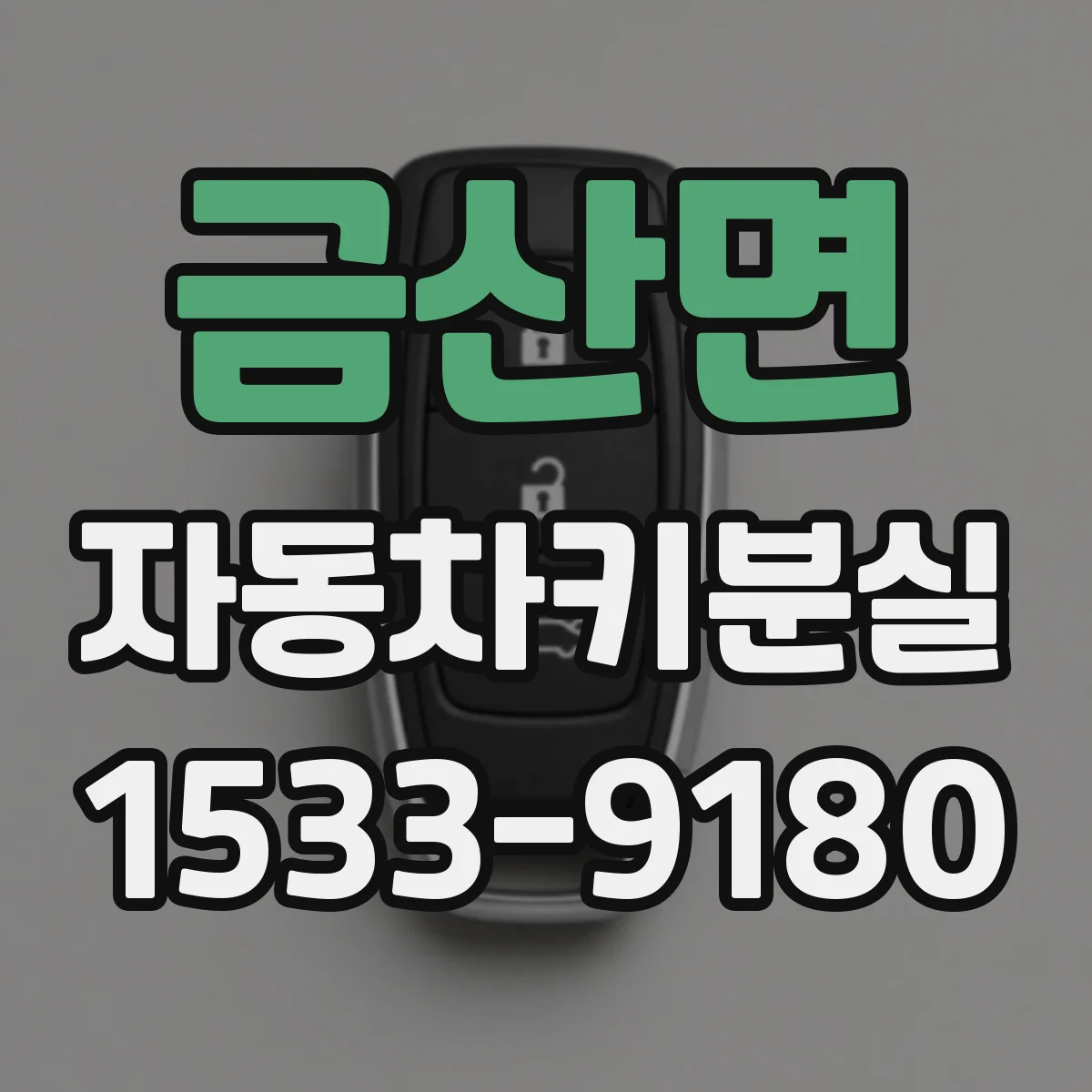 금산면 자동차키분실