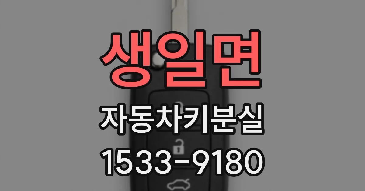 생일면 자동차키분실
