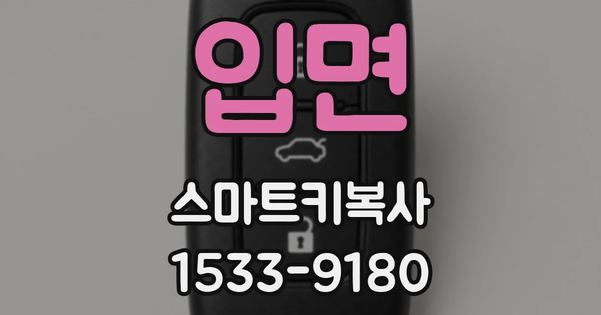 입면 스마트키복사