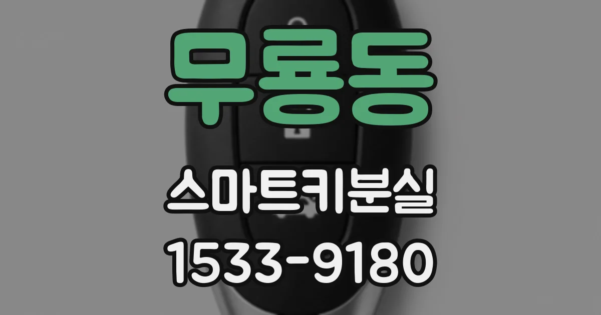 무룡동 스마트키분실