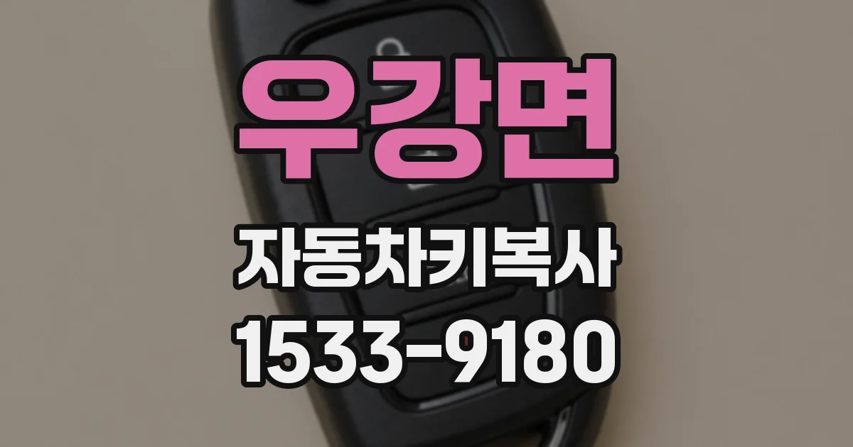 우강면 자동차키복사
