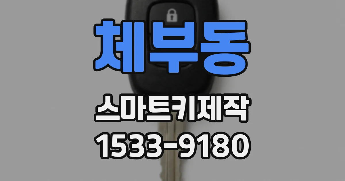 체부동 스마트키제작