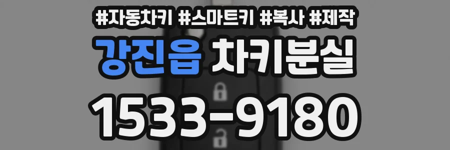 강진읍 차키분실