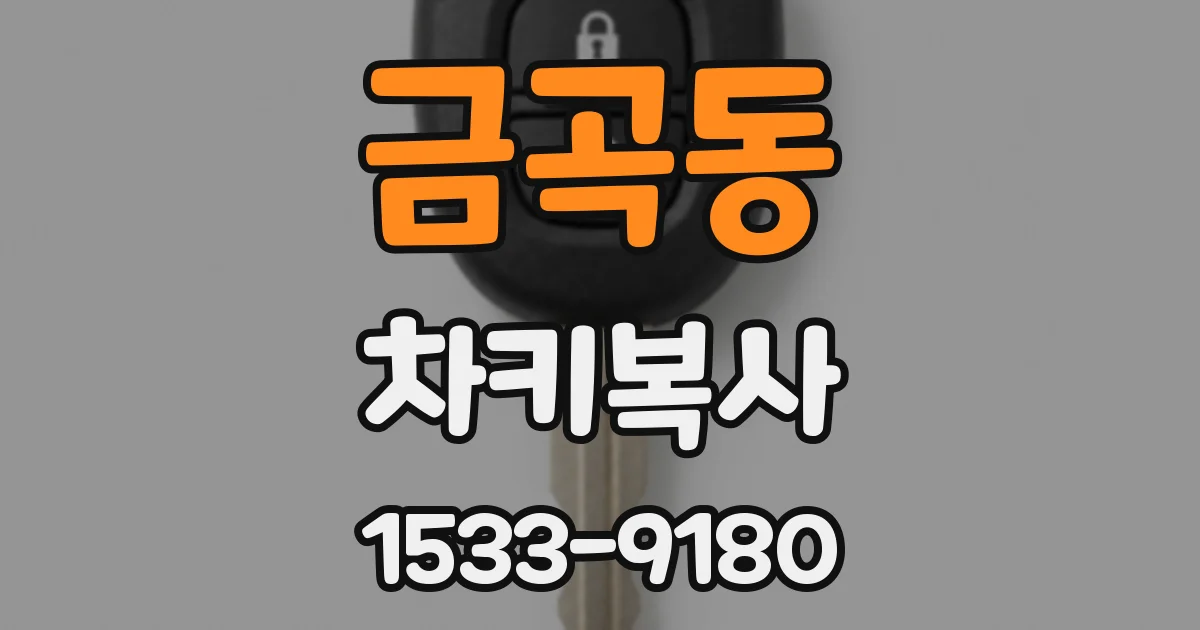 금곡동 차키복사
