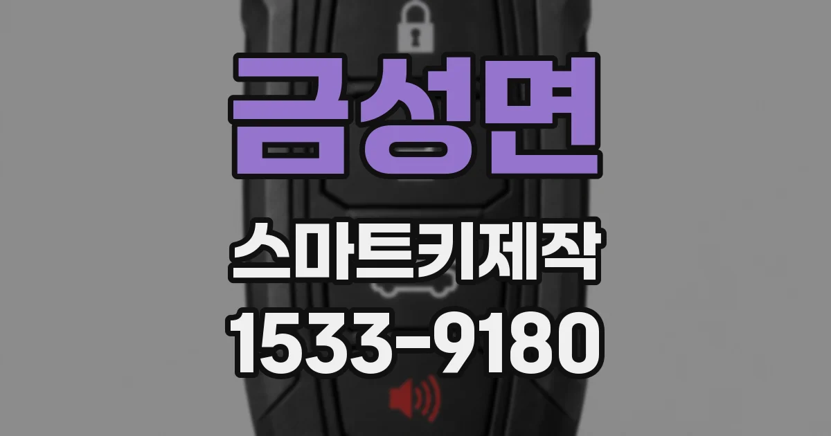 금성면 스마트키제작