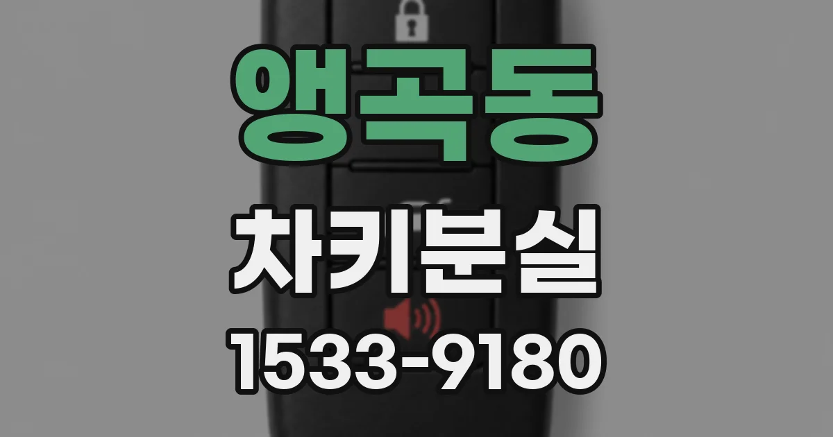 앵곡동 차키분실