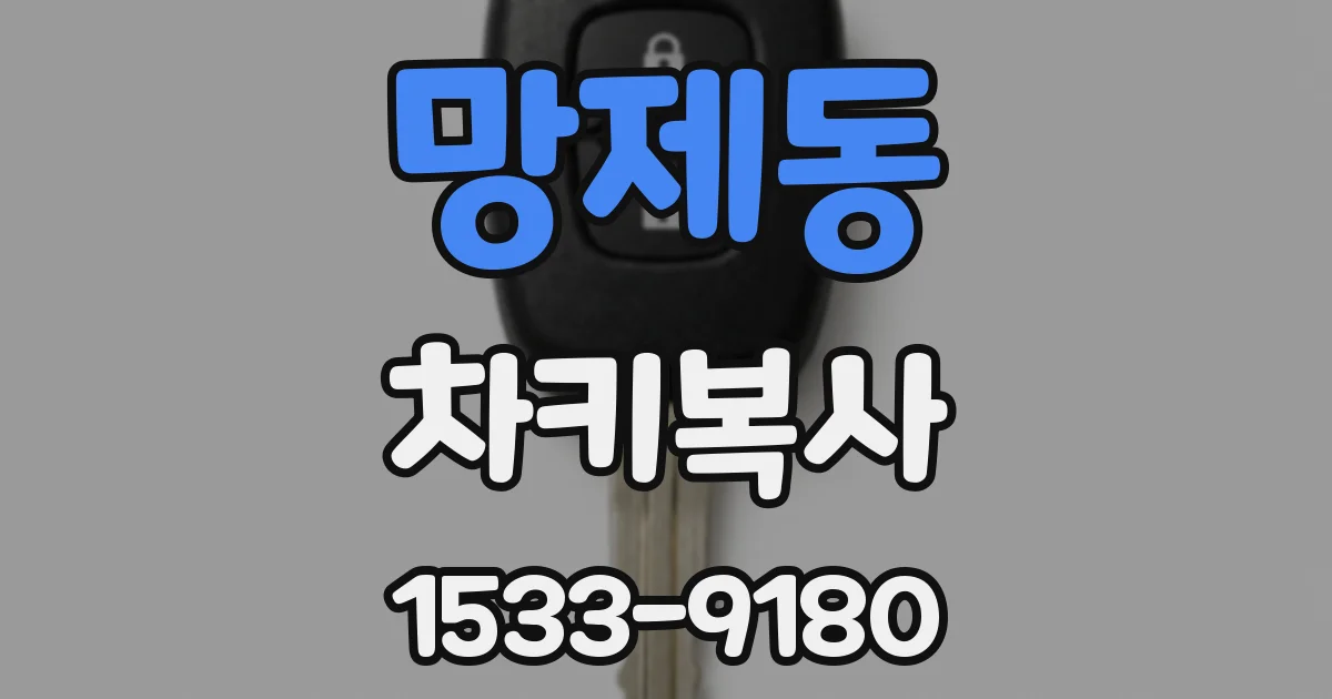 망제동 차키복사