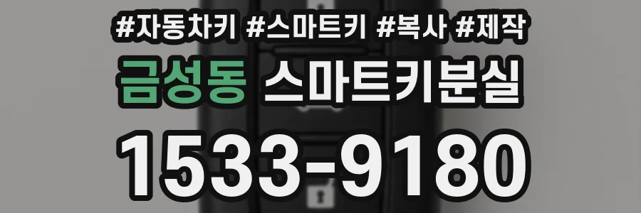 금성동 스마트키분실