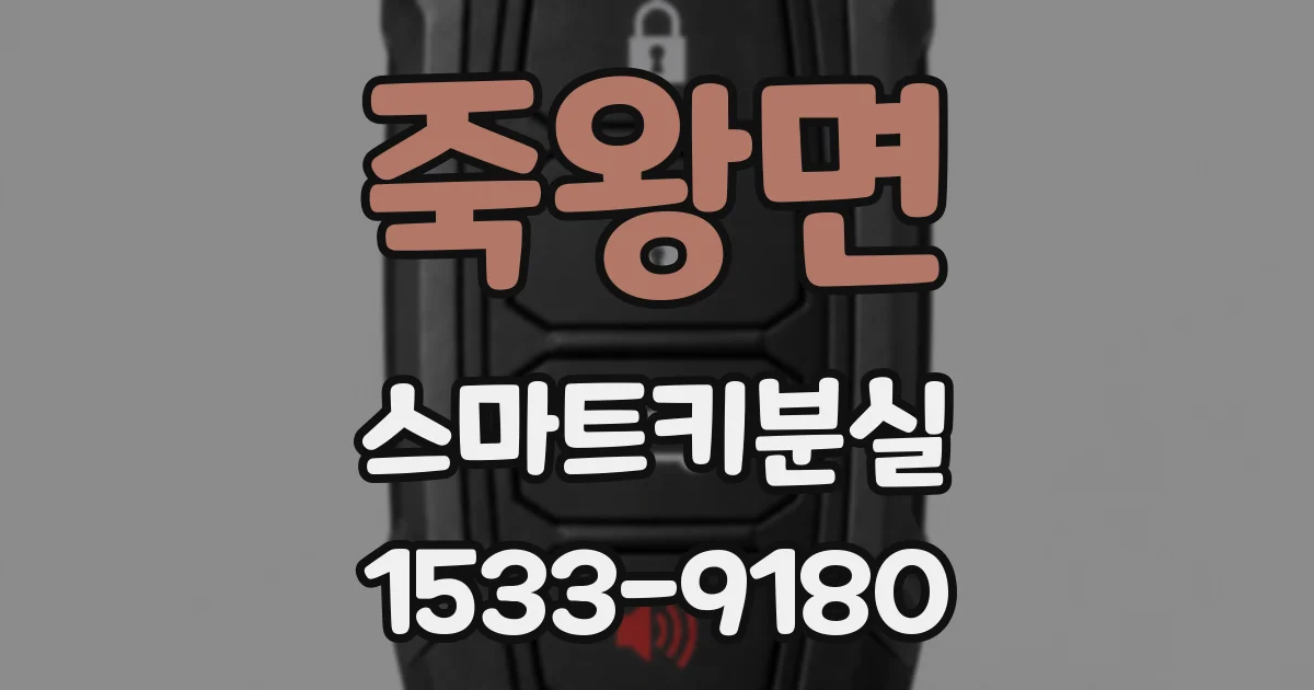 죽왕면 스마트키분실