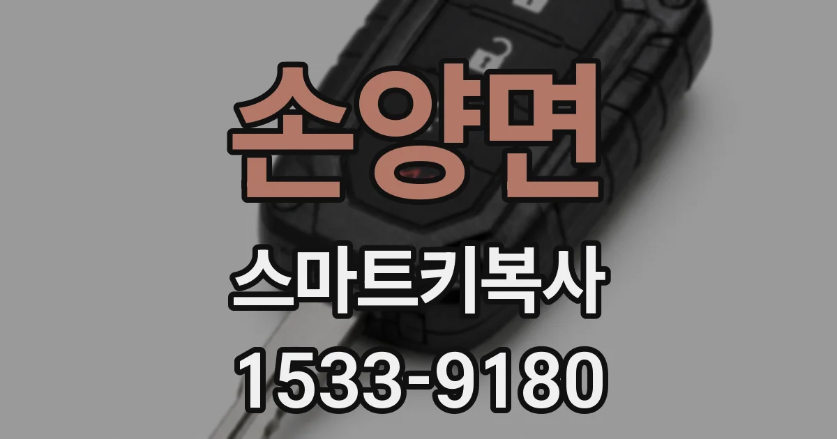 손양면 스마트키복사