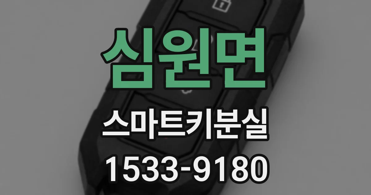 심원면 스마트키분실