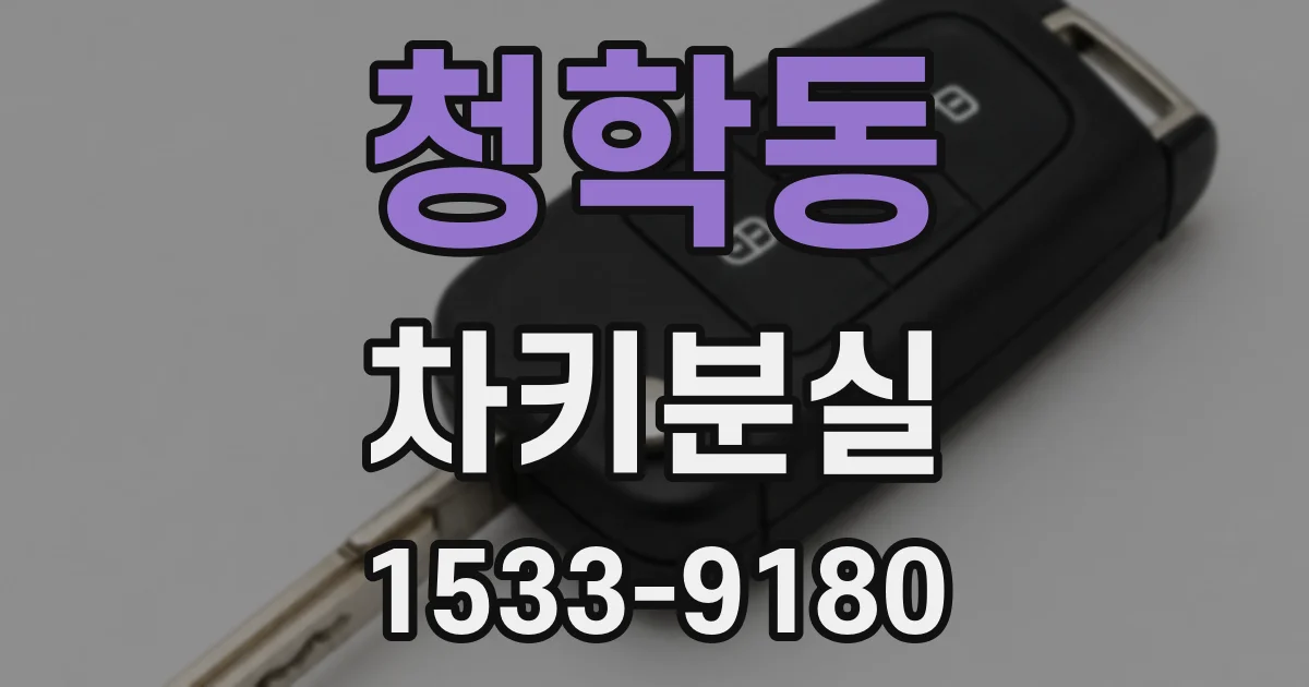 청학동 차키분실