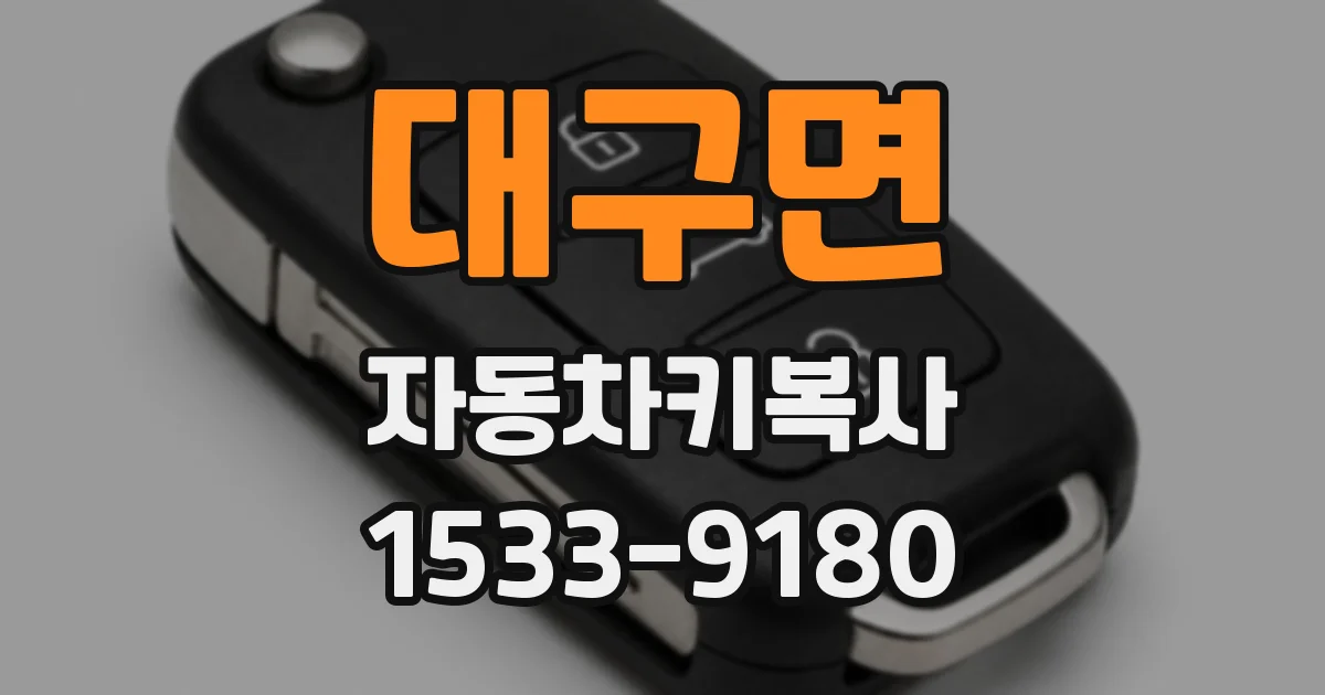 대구면 자동차키복사