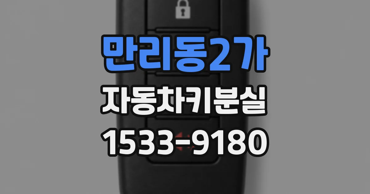 만리동2가 자동차키분실